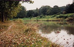 Photographie : chemin de promenade le long de la Marne