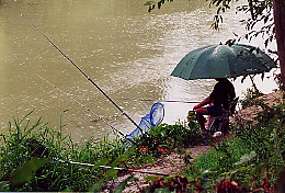 Photographie : un pcheur sous la pluie  Noisiel